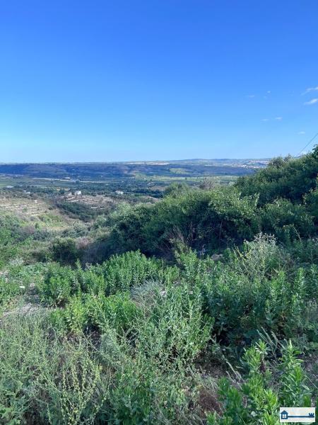 PHOTO-2025-07-09-11-42-40 (12).jpg